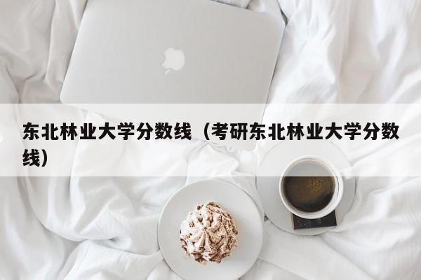 东北林业大学分数线（考研东北林业大学分数线）