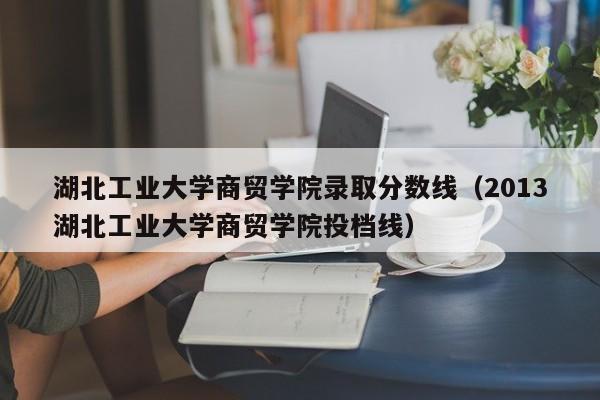 湖北工业大学商贸学院录取分数线（2013湖北工业大学商贸学院投档线）