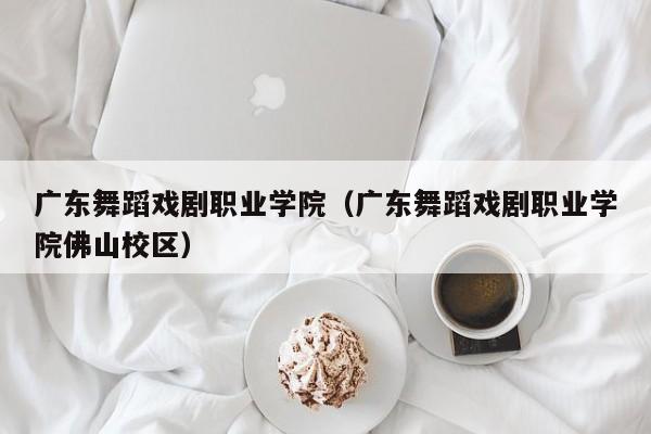 广东舞蹈戏剧职业学院（广东舞蹈戏剧职业学院佛山校区）