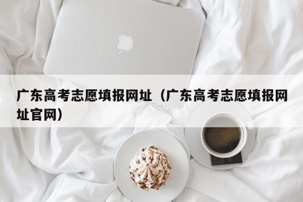 广东高考志愿填报网址（广东高考志愿填报网址官网）